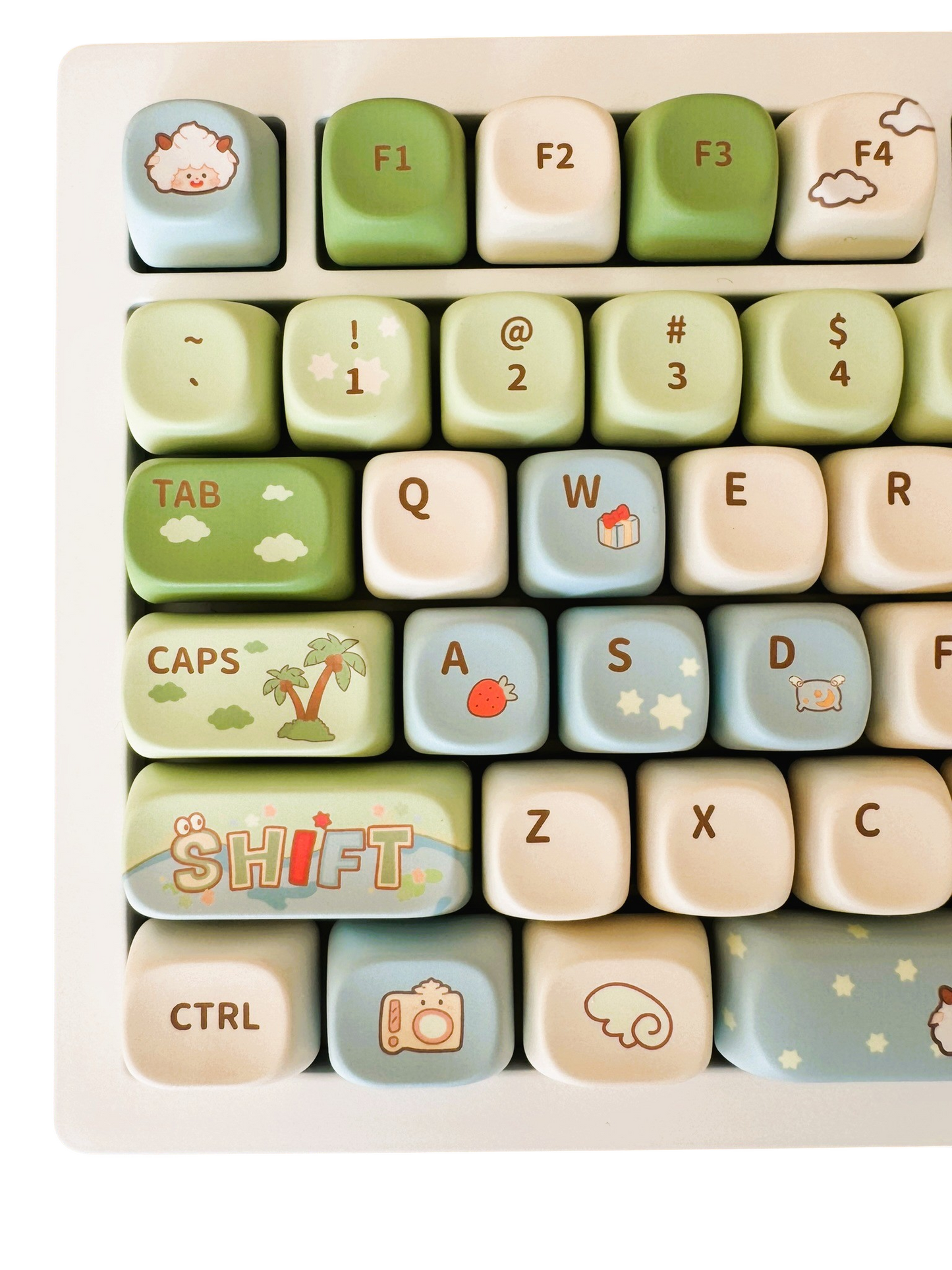 Teclado Wooly Meadow